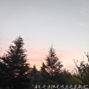 草莓视频在线观看18
