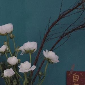 草莓视频在线观看18
