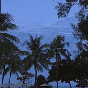 草莓视频在线观看18
